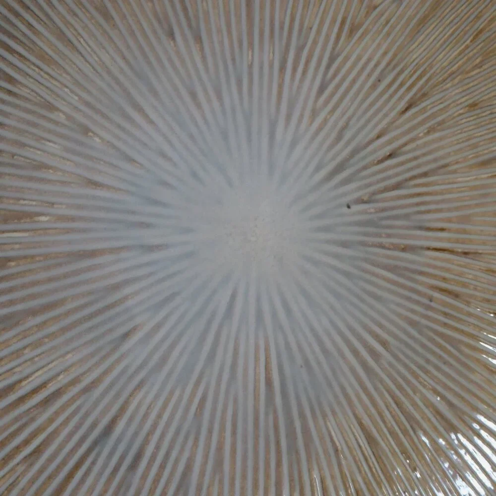 NEW VINTAGE 11.25” Z GALLERIE BRAND SQUARE STONEWARE PLATE PLATTER DISH